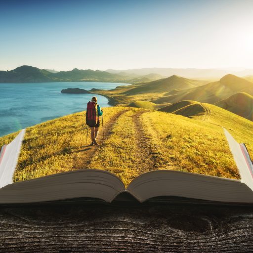 A woman on a mountain on a book